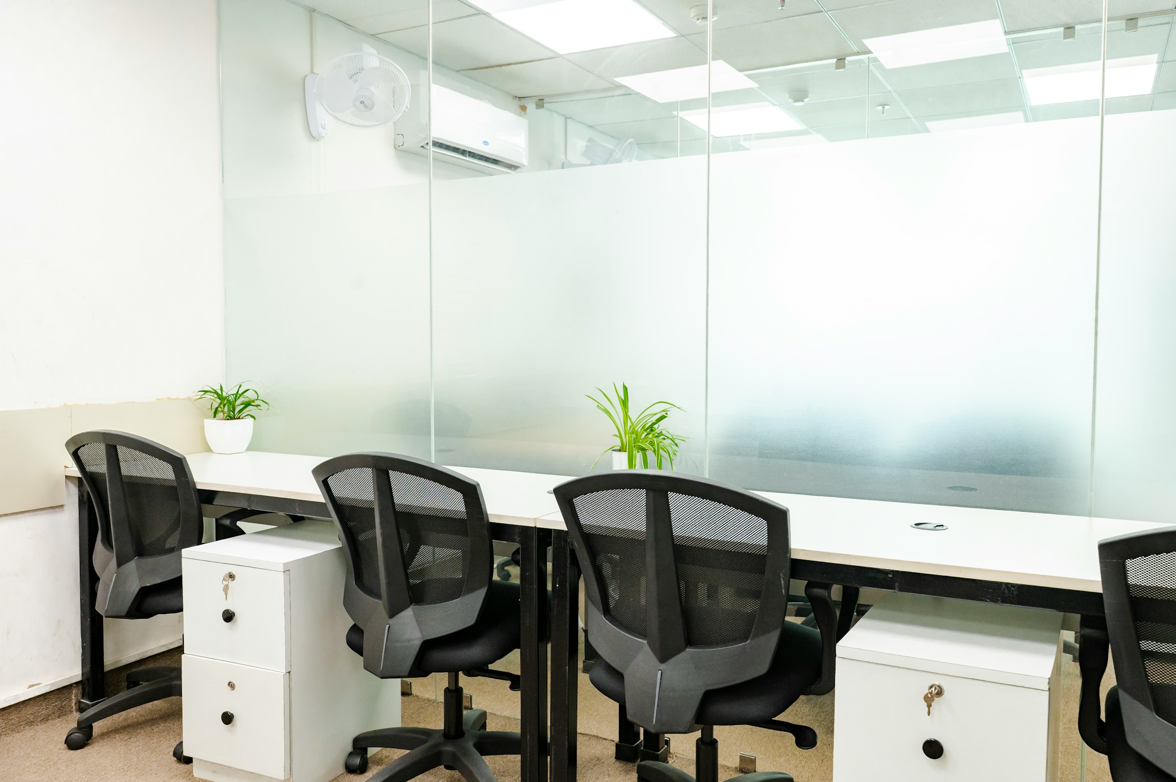 Oficinas abiertas con mamparas frosted